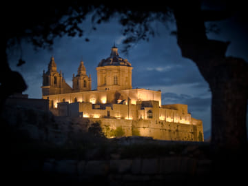 Afternoon Valletta Harbour Cruise and Free Time In Sliema (Including Guide and Transport)