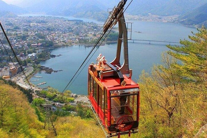 Full Day Tour in Mount Fuji and Oishi Park with Fruit Picking