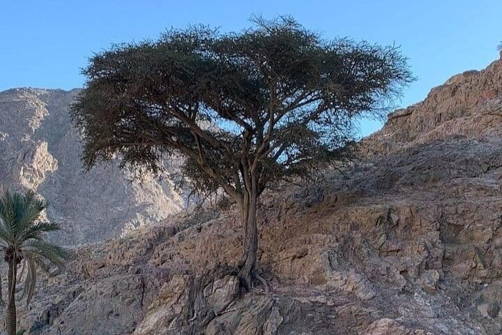 Luxor: Valley of Kings, Hatchepsut Temple ,Karnak & Luxor-DayTour