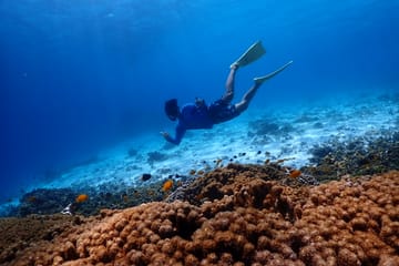 Phuket: Similan Island Snorkeling Adventure full day tour by Sea Star Andaman