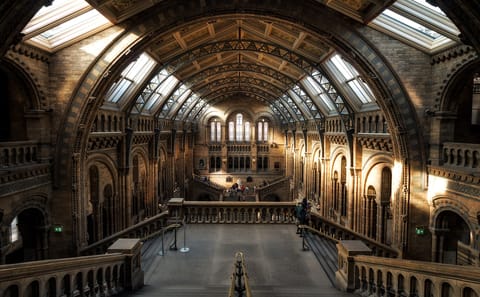 London and Paris 7-Day Rail Tour with City Exploration
