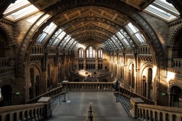 London and Paris 7-Day Rail Tour with City Exploration