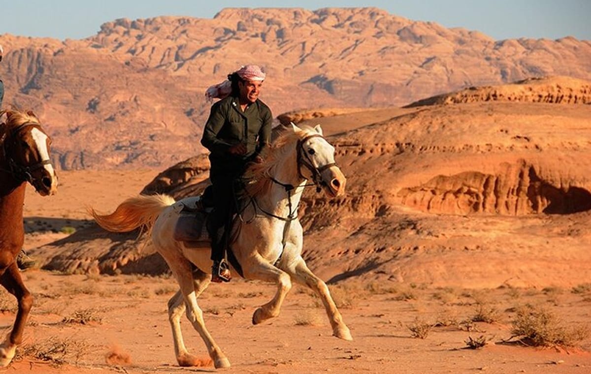 Arabian Horseback Desert and Sea