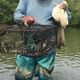 Crab Traps