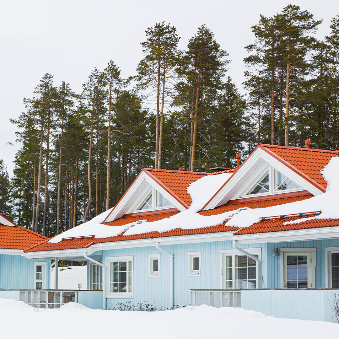 New Year holiday in Finland 8 days/ 7 nights (27.12.-03.01.2026)