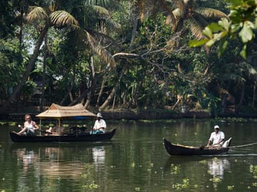 Explore Munnar, Thekkady, and Alleppey on a 6-Day Tour