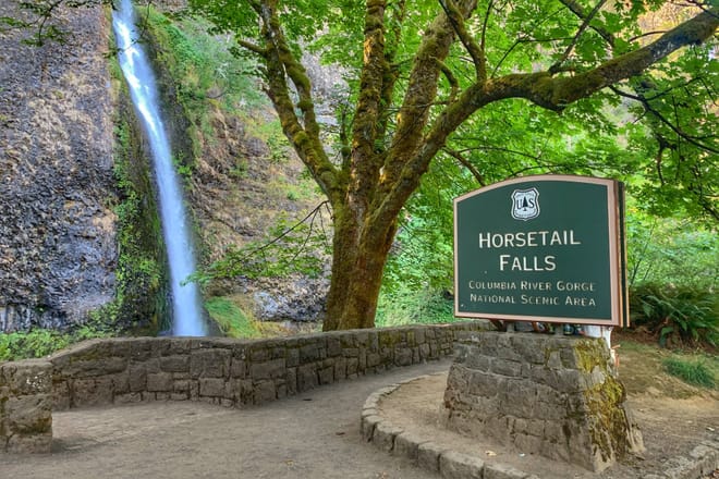 Morning Half-Day Multnomah Falls and Columbia River Gorge Waterfalls Tour from Portland 3