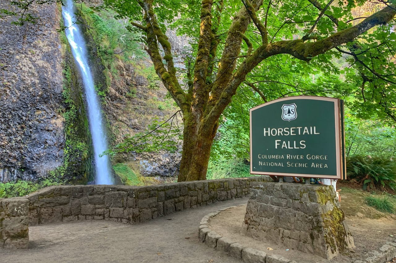 Morning Half-Day Multnomah Falls and Columbia River Gorge Waterfalls Tour from Portland 3