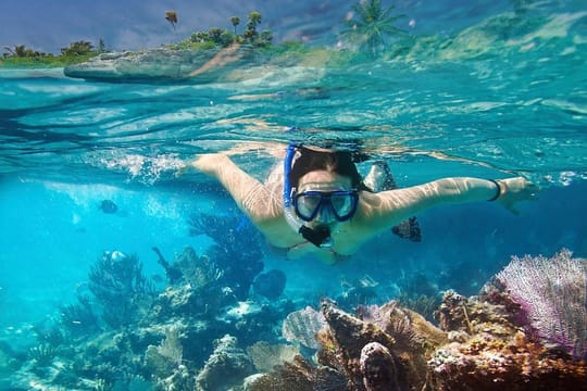 Snorkeling in Unawatuna
