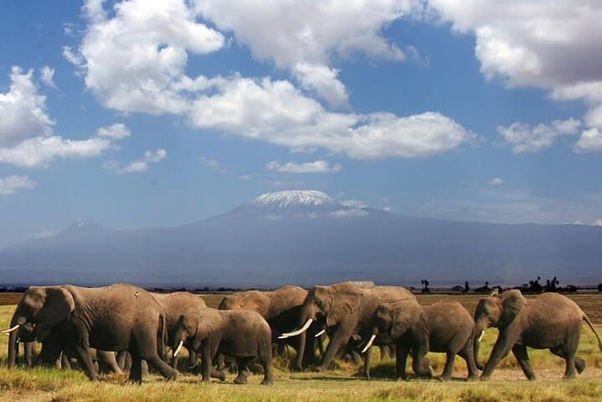 4-Day Lake Naivasha & Amboseli- Luxury Grp Joining Safari 8