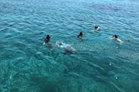 All Included Sailing Yacht Cruise to Mykonos South Beaches, Rhenia & Delos Islands 3