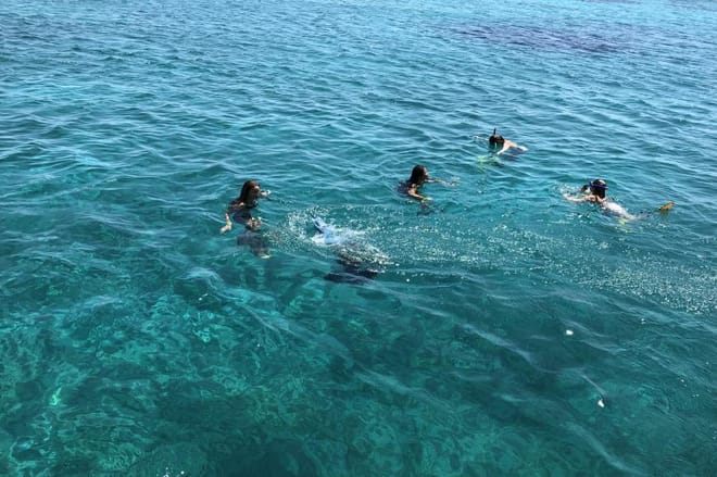 All Included Sailing Yacht Cruise to Mykonos South Beaches, Rhenia & Delos Islands photo 3