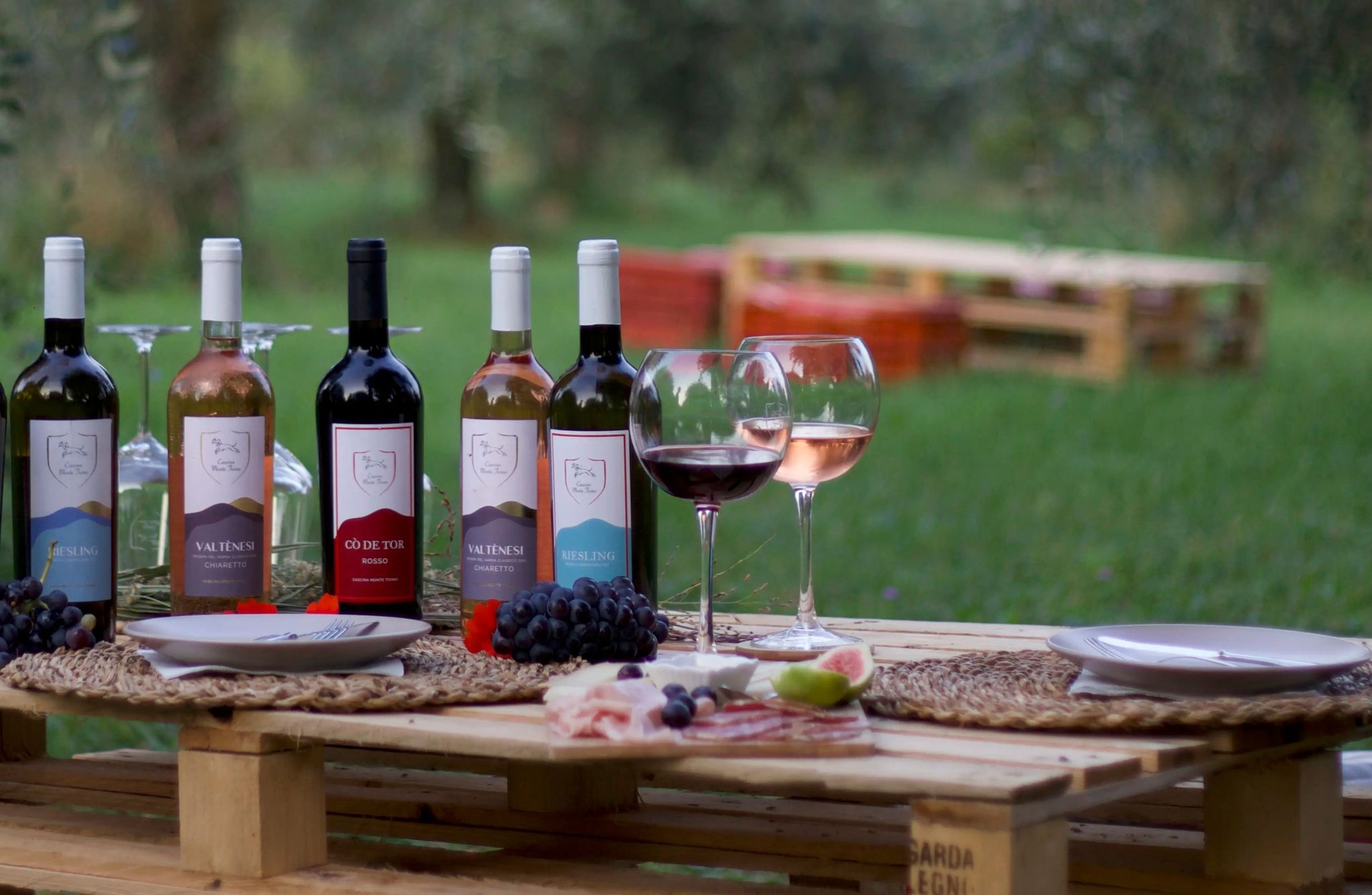 Winery Tour with Wine and Food Tasting near Lake Garda