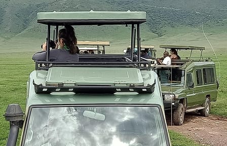 Ngorongoro Crater Wildlife Safari Day Trip from Arusha