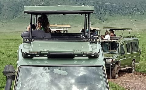 Ngorongoro Crater Wildlife Safari Day Trip from Arusha