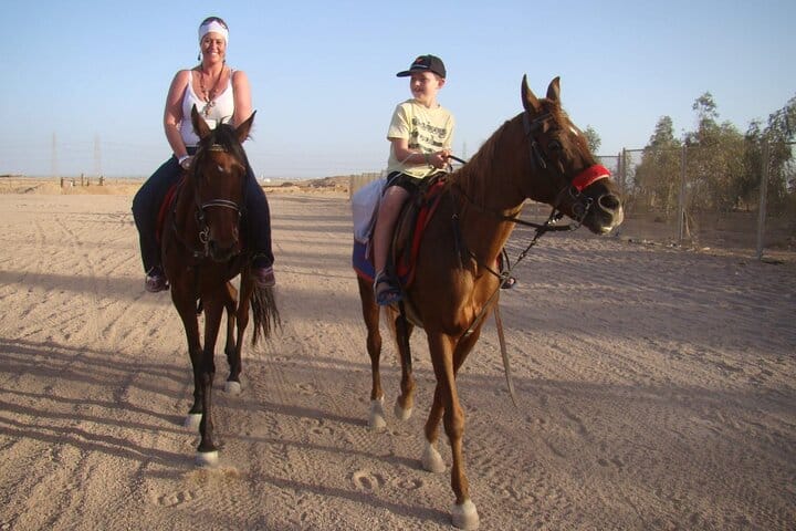 One-Hour Beach Horse Riding with Transfer from Hurghada
