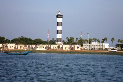 Birds & Beyond: Chennai to Pulicat Bird Sanctuary Day Tour