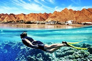 Red Sea Snorkeling Day Trip by Boat From Hurghada
