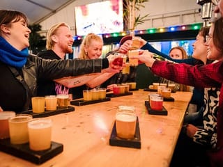 Private Reykjavík Food & Beer Tasting Tour, photo 6