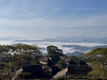 Jingmai Mountain (UNESCO) | Old Tea Forests and Dai Villages
