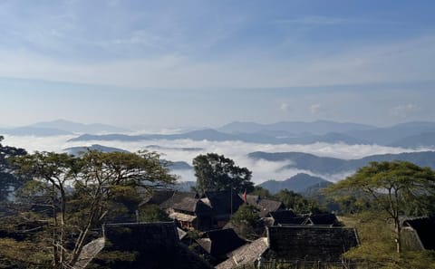 Jingmai Mountain Tour: Explore Tea Forests and Dai Villages