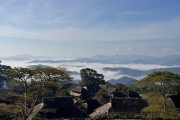 Jingmai Mountain Tour: Explore Tea Forests and Dai Villages