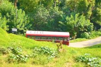 Heeloya Village Tour from Kandy
