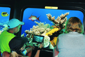Semi-Submarine Coral Reef Tour in Hurghada, Egypt