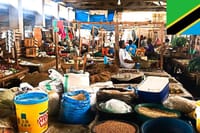 Private Bagamoyo Day Trip with Lunch 6