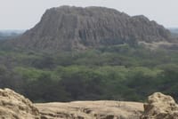 Pomac Forest Historic Sanctuary & Sican Museum in Chiclayo 4