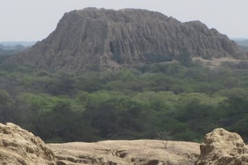 Pomac Forest Sanctuary and Sican Museum Tour in Chiclayo