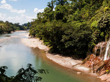 Wildlife Tour of Alto Mayo Reserve in Tarapoto, Peru