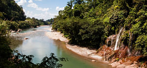 Tar-09 : Wildlife Wonderland - Tarapoto's Alto Mayo Reserve