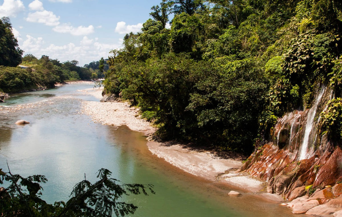 Tar-09 : Wildlife Wonderland – Tarapoto’s Alto Mayo Reserve