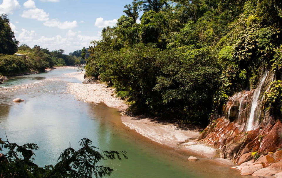 Wildlife Tour of Alto Mayo Reserve in Tarapoto, Peru