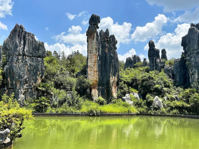 Kunming: Stone Forest, Roast Duck Lunch and City Tour