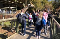 Cradle of Humankind Tour from Johannesburg 3