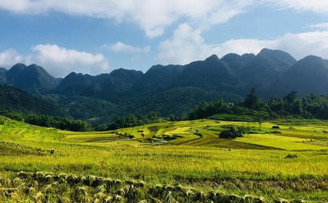 Pu Luong 3-Day Adventure Tour from Hanoi with Trekking and Rafting