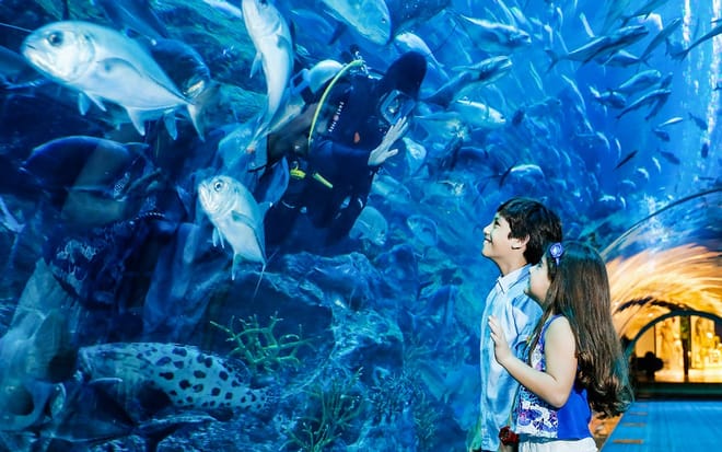 Tiny eyes light up in wonder at the colorful marine world