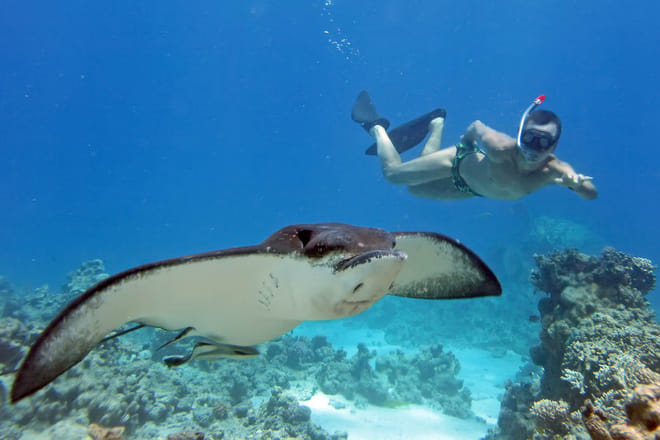 Bali Marine: Swim with Manta Rays in Nusa Penida photo 3
