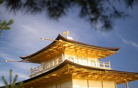 Kyoto Early Morning Tour with Korean Speaking Guide