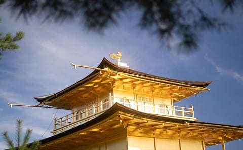 Kyoto Early Morning Tour with Korean Speaking Guide