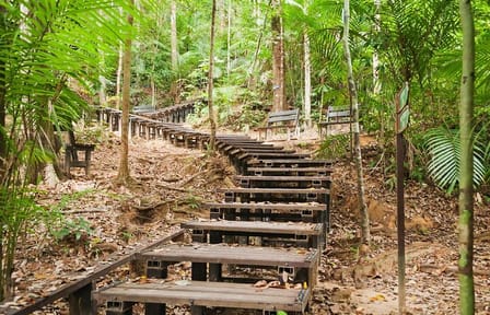 Taman Negara Nature Tour with Lata Berkoh Falls Visit