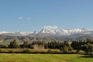 Private One Day Excursion From Marrakech To Ourika Valley