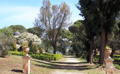 Private Full Day Cultural Tour of Ragusa and Scicli from Catania