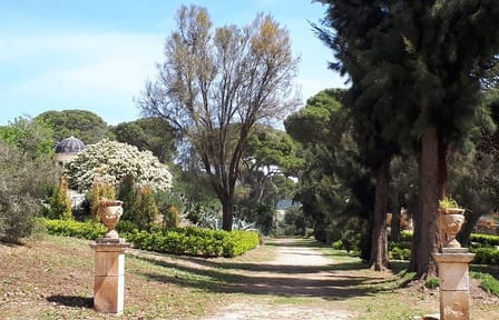 Private Full Day Cultural Tour of Ragusa and Scicli from Catania