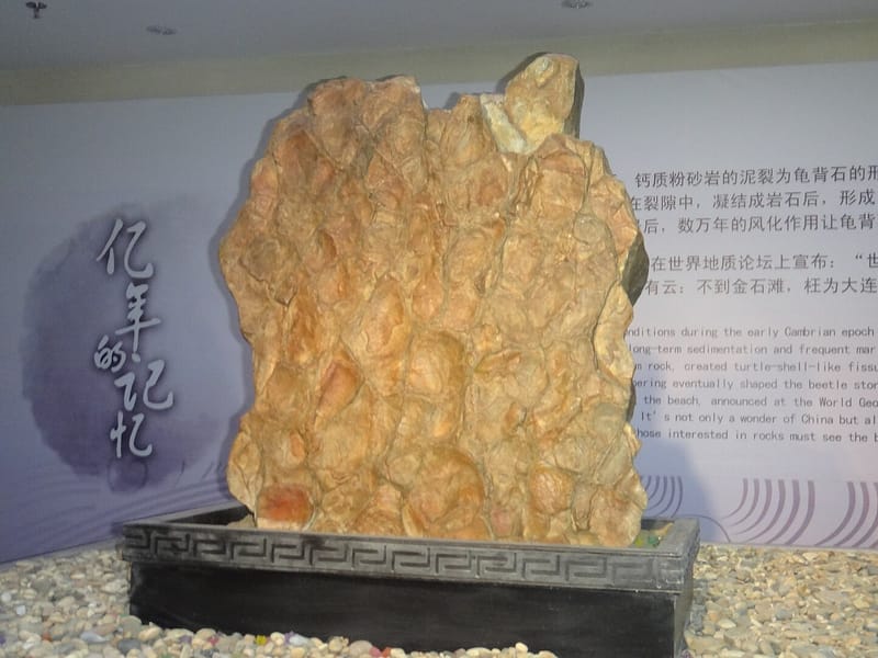 Dalian: Jinshitan Coast & Geological Landscape Private Day Tour
