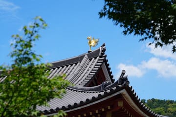 Kyoto Early Bird Tour in Uji and Fushimi Inari