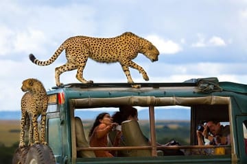 Private 3-Day Safari in Maasai Mara National Reserve, Kenya
