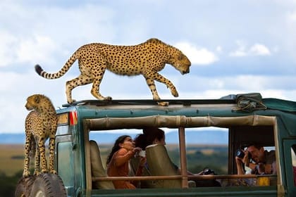 Private 3-Day Safari in Maasai Mara National Reserve, Kenya